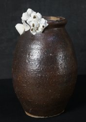 Takotsubo hart 1900