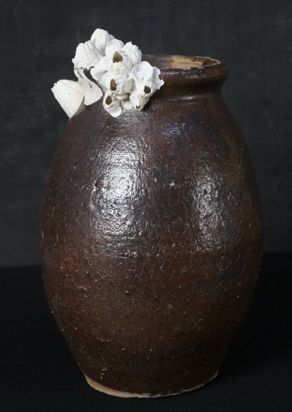 Takotsubo hart 1900