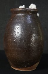 Takotsubo hart 1900