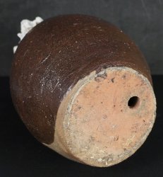 Takotsubo hart 1900
