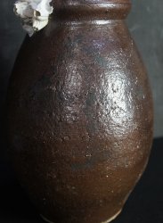 Takotsubo hart 1900