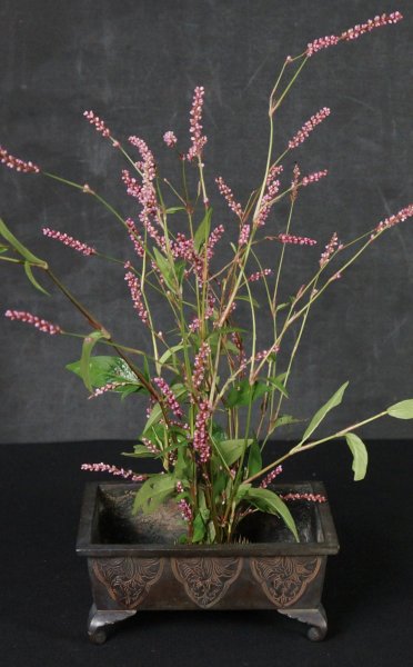 Ikebana Suiban 1900