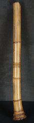 Shakuhachi Kitahara 1950