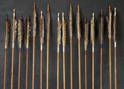 Antique Ya bamboo arrows 1900