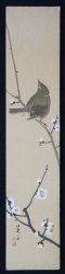 Uguisu Tanzaku 1950