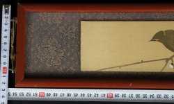 Uguisu Tanzaku 1950