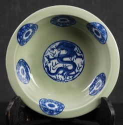 Domburi dragon1900