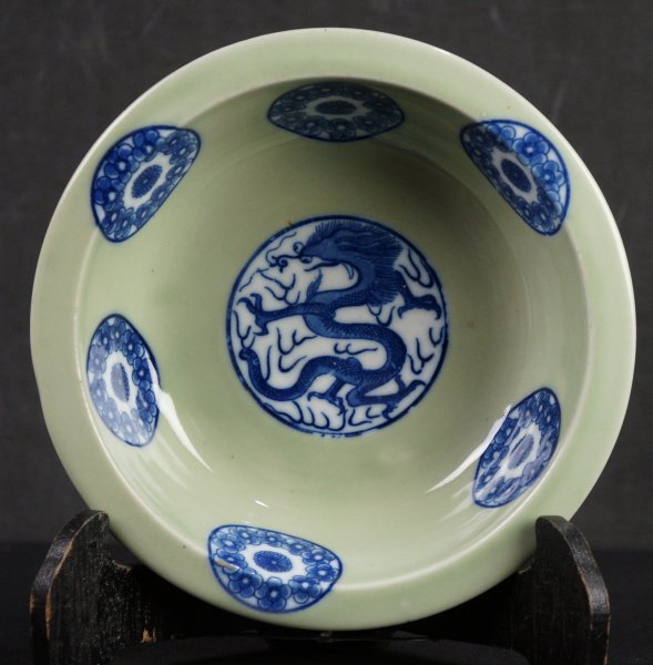 Domburi dragon1900