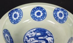 Domburi dragon1900