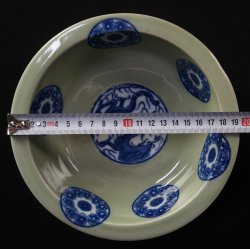 Domburi dragon1900