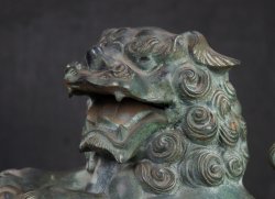 Garden lion1970