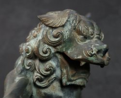 Garden lion1970