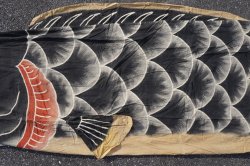 Koinobori kite 1950 Kuro