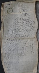 Antique manuscript sketch 1800