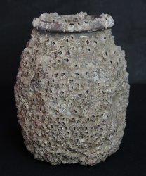 Takotsubo hart 1800