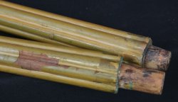 Rural Shokudai 1880
