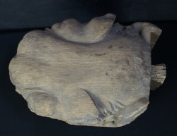 Miyadaiku lion carving 1800