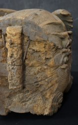 Miyadaiku temple carving 1800