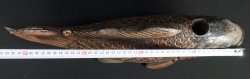 Koi carp Jizai 1950 wood