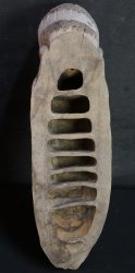 Fukurokuju bamboo carving 1900
