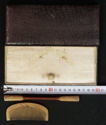 Sasa Kanzashi 1900