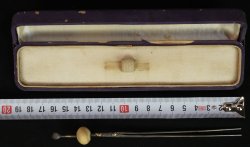 Bronze pin Hair 1900