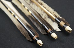 Ya arrow Kyudo 1900