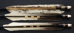 Ya arrow Kyudo 1900