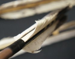 Ya arrow Kyudo 1900