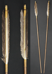 Kyoto arrow 1900