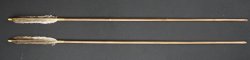 Kyoto arrow 1900