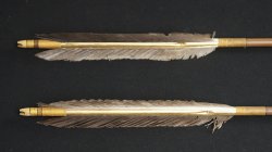 Kyoto arrow 1900