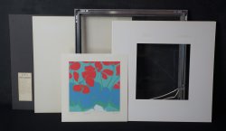 Kyoko cyclamen 1980
