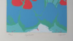 Kyoko cyclamen 1980