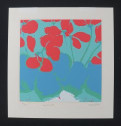 Kyoko cyclamen 1980