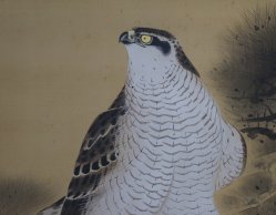 Fukuda Eagle scroll 1950