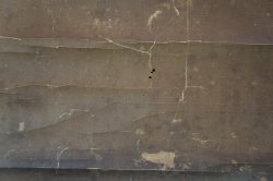 Takeda Washi 1700