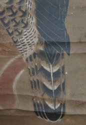 Washi eagle and fox 1700