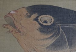 So-Shizan Koi 1880