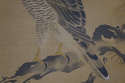 Michinobu falcons 1760