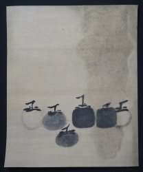 Kaki persimmon 1800