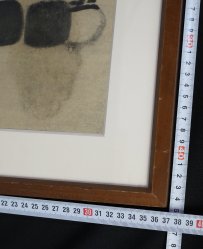 Kaki persimmon 1800