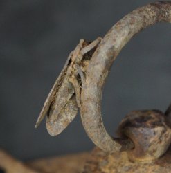 Semi Tsuri-doro 1880
