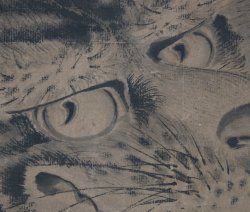 Onishikeisai tiger 1800