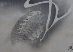 Tatsu Ryu 1900 zen