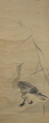 Tokinobu geese 1700