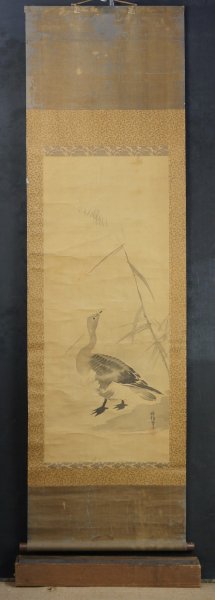 Tokinobu geese 1700