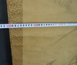 Tokinobu geese 1700