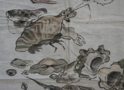 The catch 1920 sketch