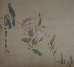 Miniature wild flowers 1880